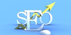 SEO Packages India