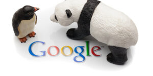 Google Panda Penguin Algorithm Updates